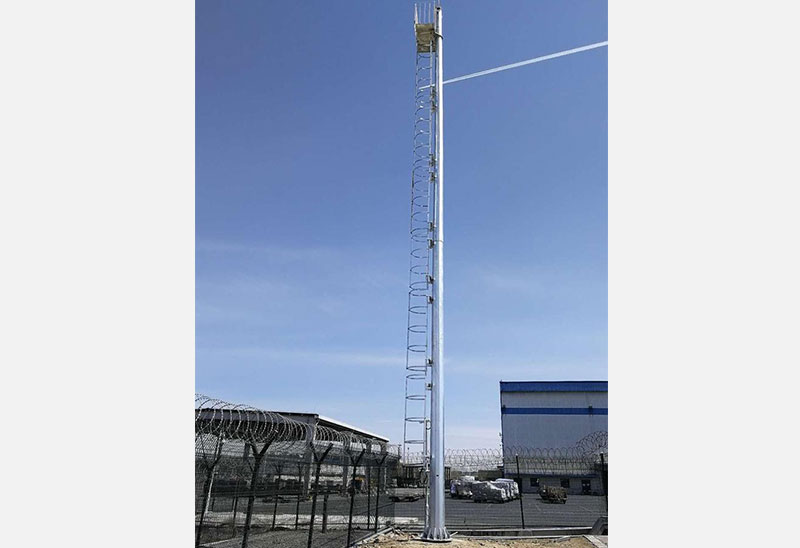 20米爬梯式高桿監控